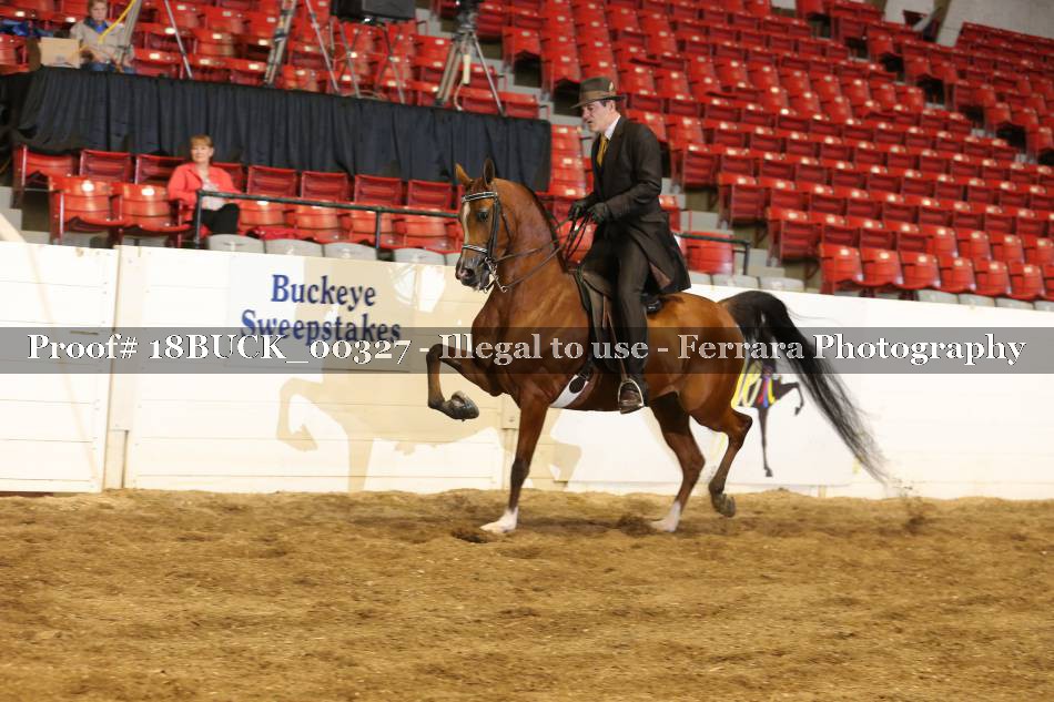 Proof 18BUCK_00327