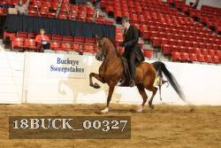 18BUCK_00327 proof