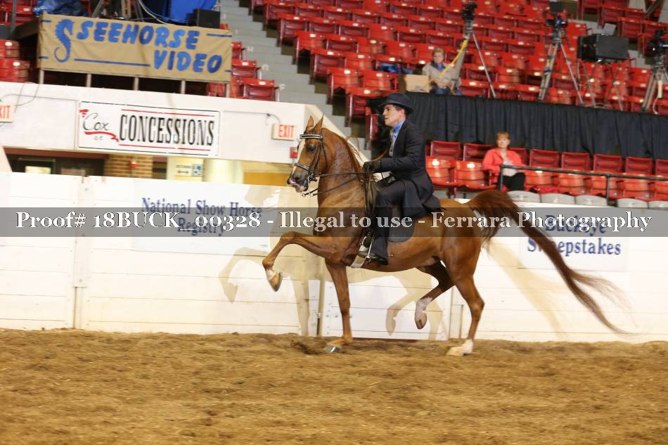 Proof 18BUCK_00328