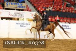 18BUCK_00328 proof