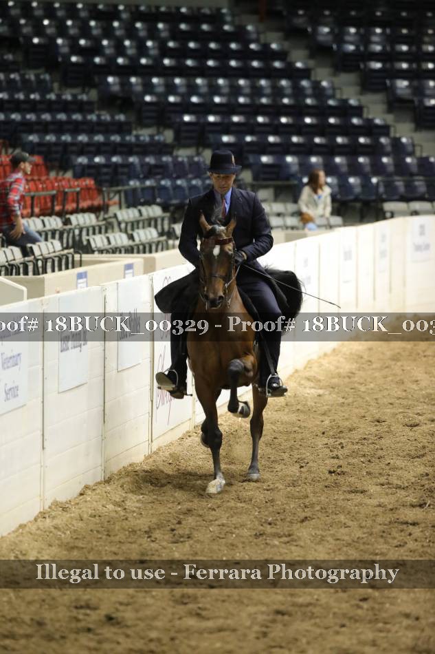 Proof 18BUCK_00329