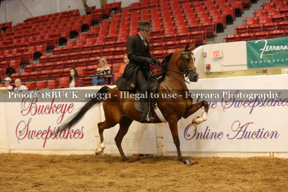 Proof 18BUCK_00331