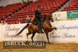 18BUCK_00331 proof