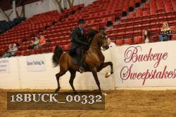 18BUCK_00332 proof
