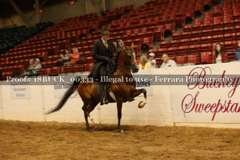 Proof 18BUCK_00333