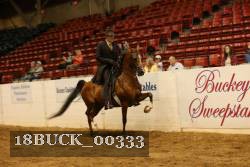 18BUCK_00333 proof
