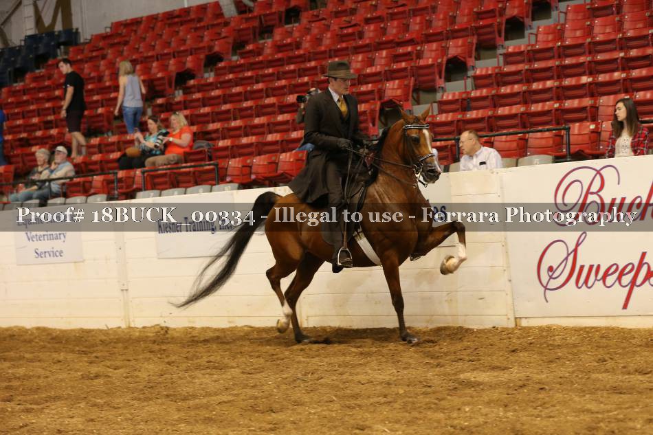 Proof 18BUCK_00334