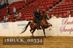 18BUCK_00334 proof