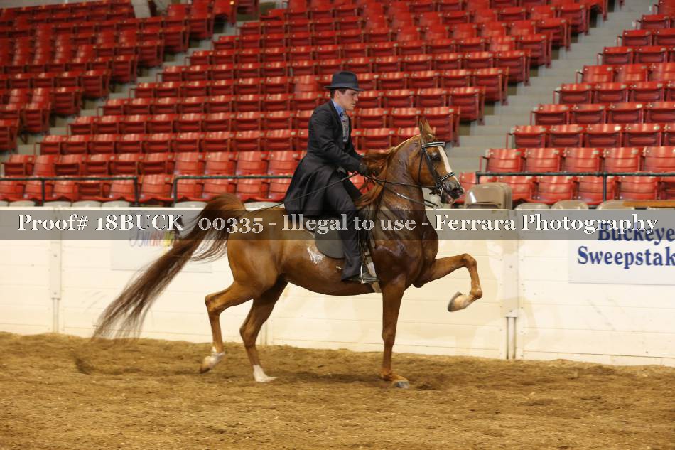 Proof 18BUCK_00335