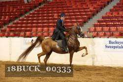 18BUCK_00335 proof