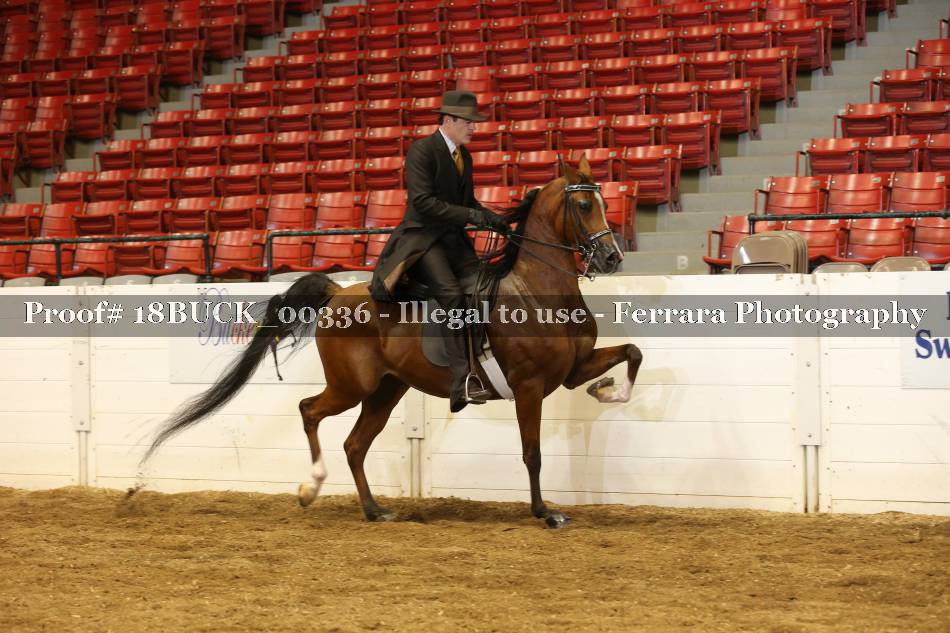 Proof 18BUCK_00336
