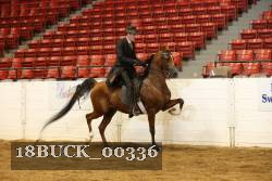 18BUCK_00336 proof