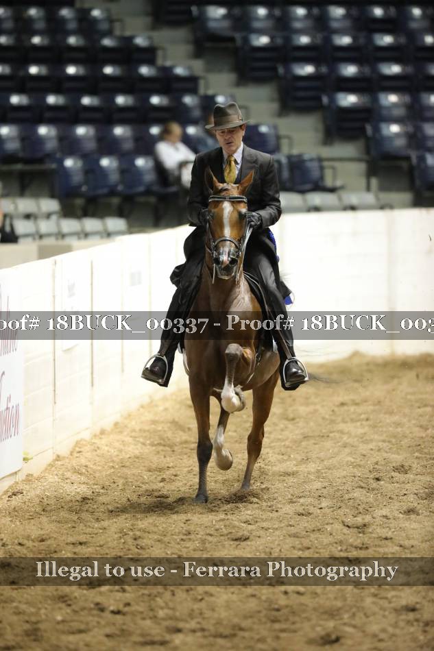 Proof 18BUCK_00337