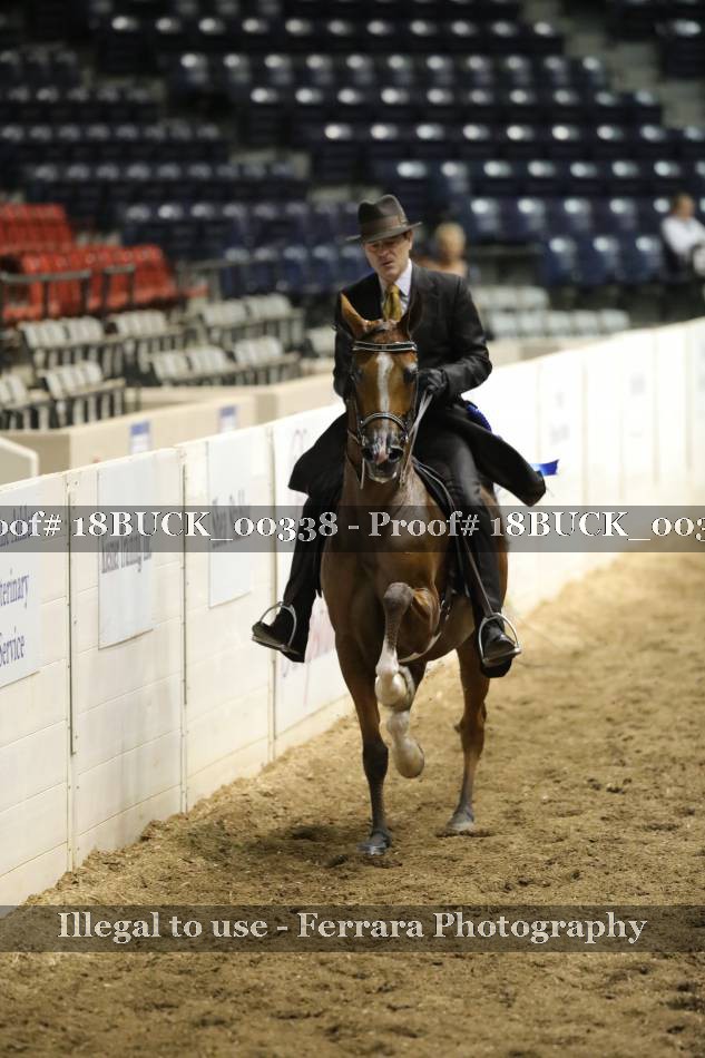 Proof 18BUCK_00338