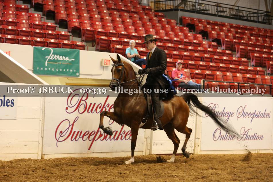 Proof 18BUCK_00339
