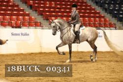 18BUCK_00341 proof