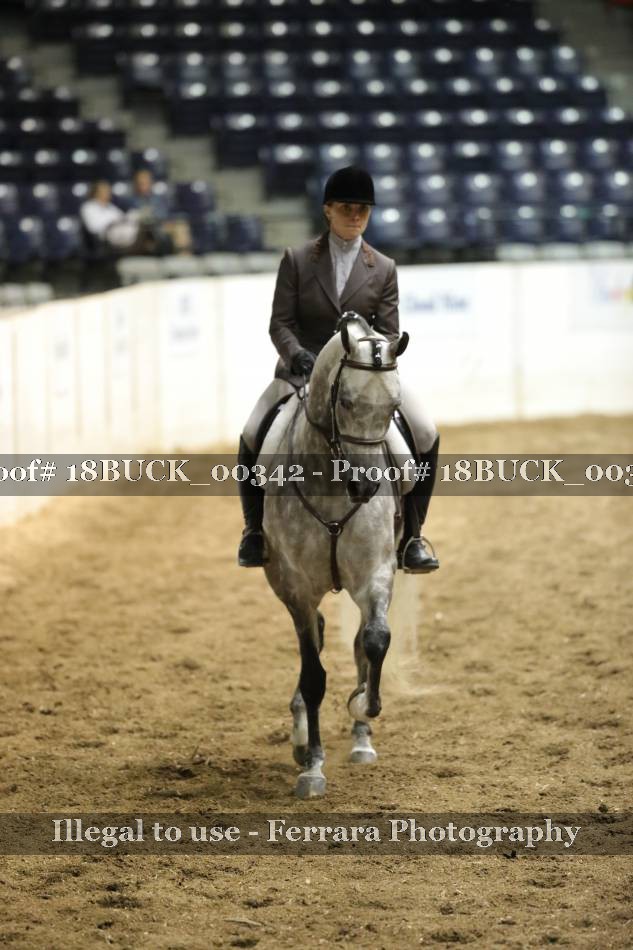 Proof 18BUCK_00342