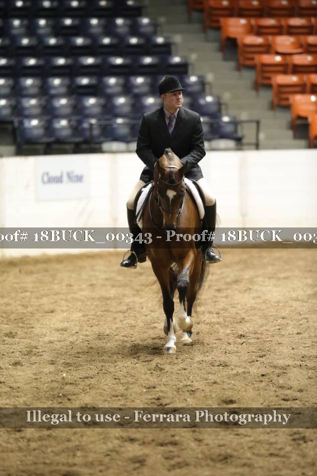 Proof 18BUCK_00343