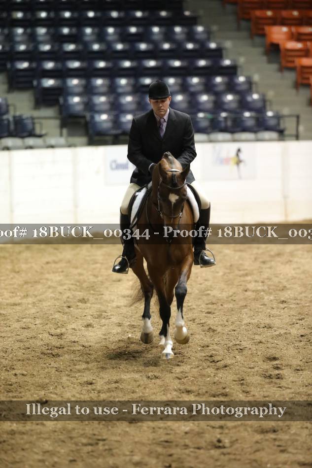 Proof 18BUCK_00344