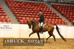 18BUCK_00345 proof