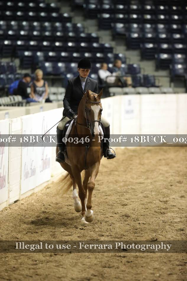 Proof 18BUCK_00346