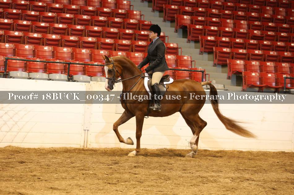 Proof 18BUCK_00347