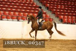 18BUCK_00347 proof