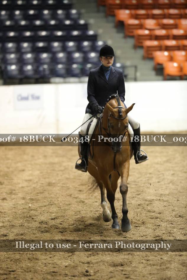 Proof 18BUCK_00348