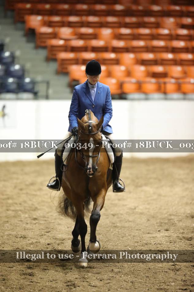 Proof 18BUCK_00349