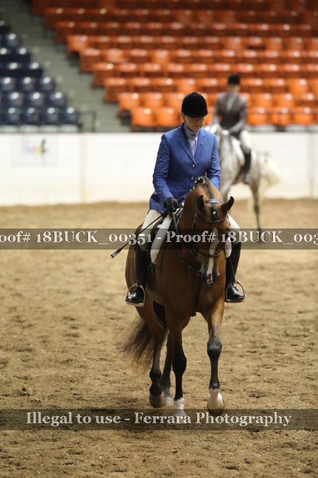 Proof 18BUCK_00351