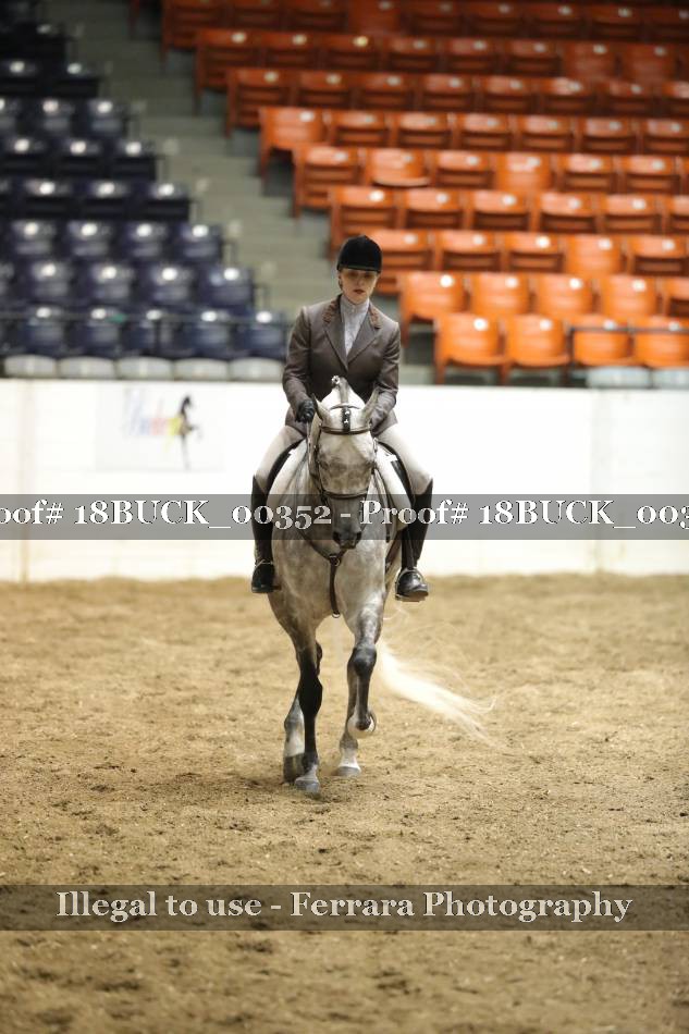 Proof 18BUCK_00352