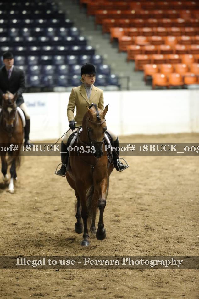 Proof 18BUCK_00353