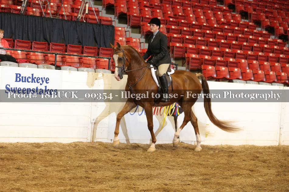 Proof 18BUCK_00354