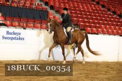 18BUCK_00354 proof