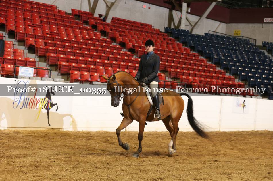Proof 18BUCK_00355