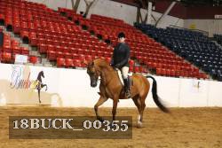 18BUCK_00355 proof