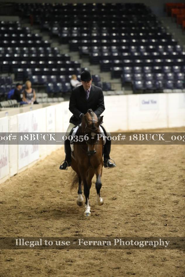 Proof 18BUCK_00356