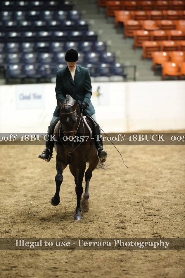 Proof 18BUCK_00357