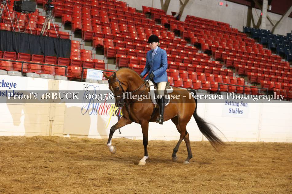 Proof 18BUCK_00358
