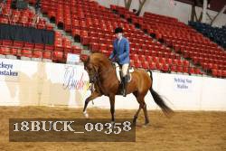 18BUCK_00358 proof