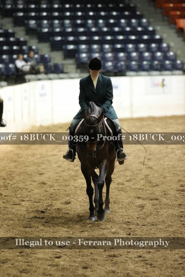 Proof 18BUCK_00359