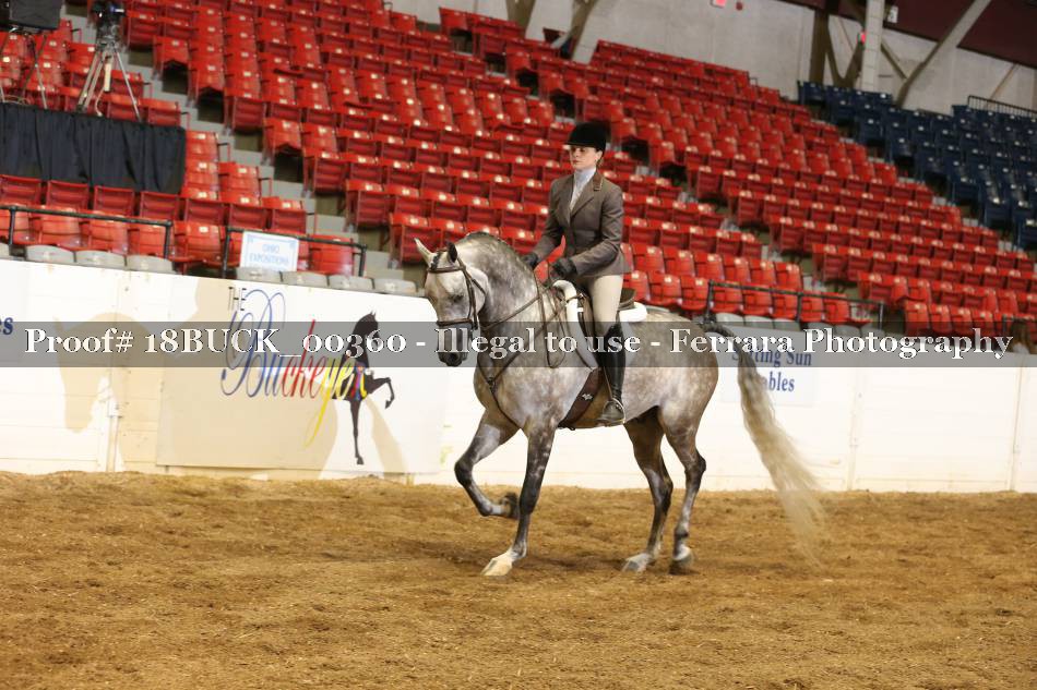 Proof 18BUCK_00360