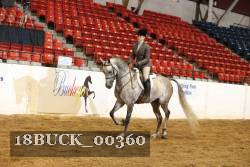 18BUCK_00360 proof