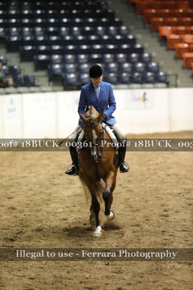 Proof 18BUCK_00361