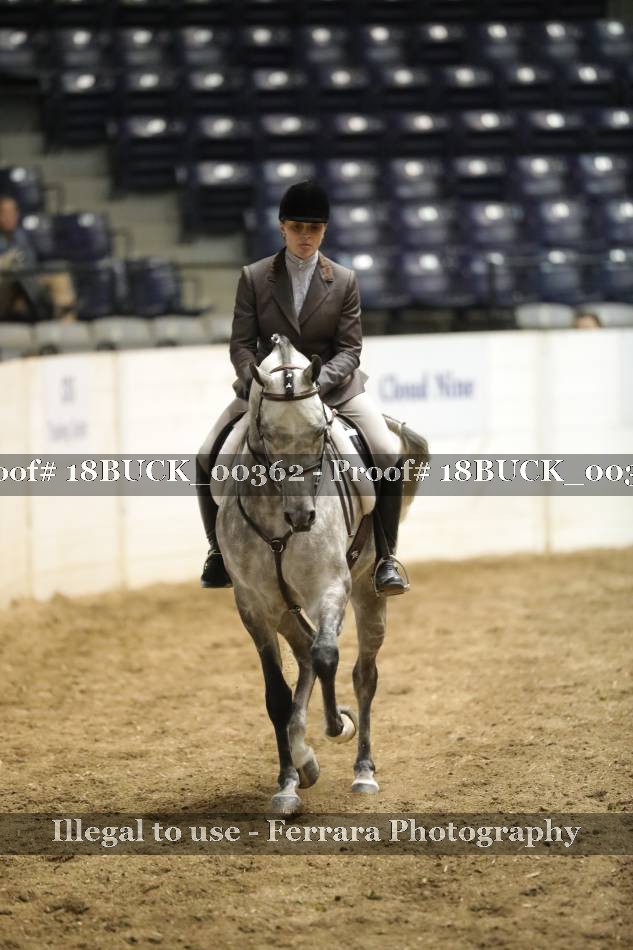 Proof 18BUCK_00362