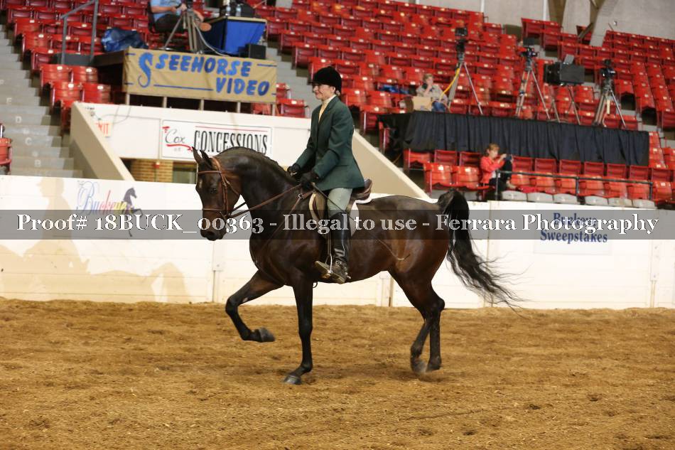 Proof 18BUCK_00363