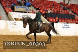 18BUCK_00363 proof