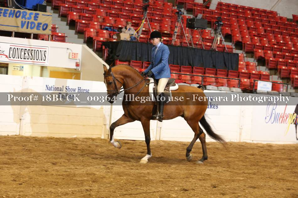 Proof 18BUCK_00364