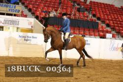 18BUCK_00364 proof
