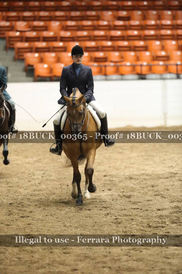 Proof 18BUCK_00365